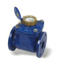 Removable Cold or Hot Water-Meter (LXLC-50-200mm)